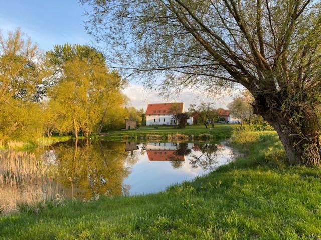Traumhaftes Luxus-Ferienhaus Warnkenhagen  المظهر الخارجي الصورة
